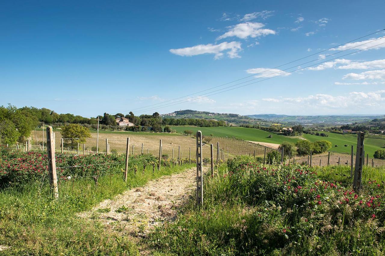 A11 - Varano, Delizioso Trilocale Con Giardino Ancona Kültér fotó