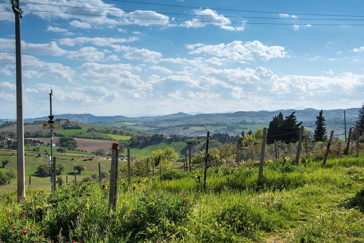 A11 - Varano, Delizioso Trilocale Con Giardino Ancona Kültér fotó