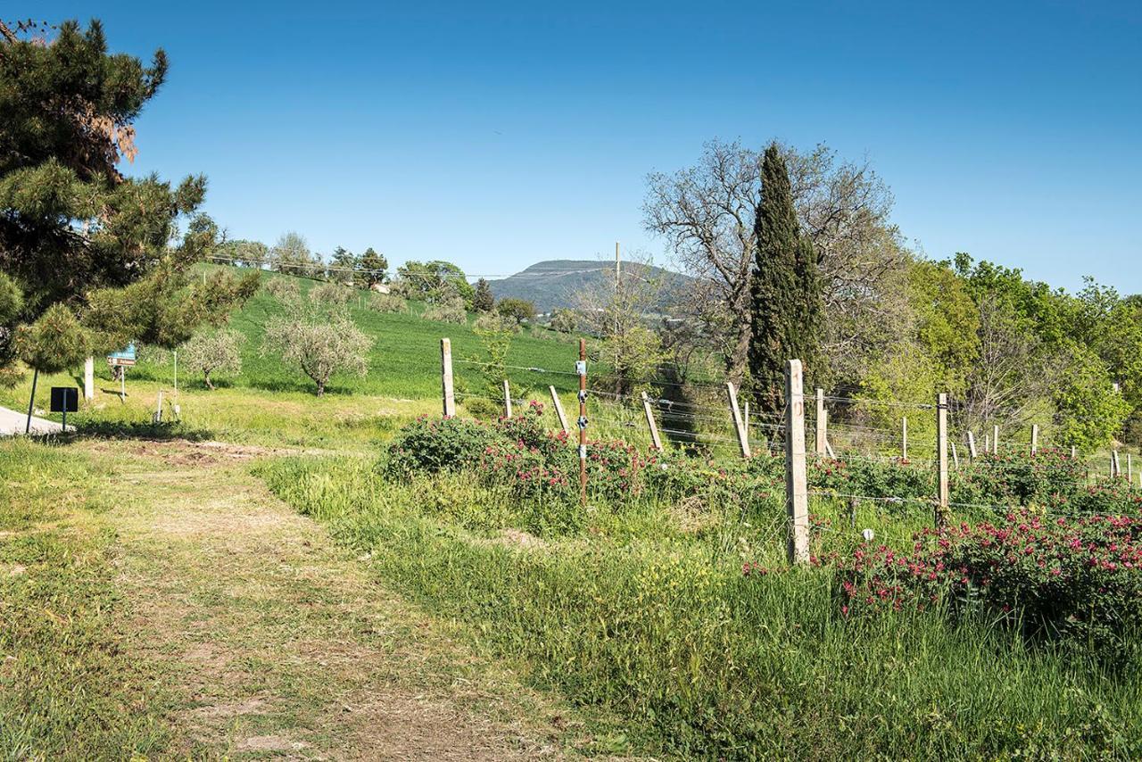 A11 - Varano, Delizioso Trilocale Con Giardino Ancona Kültér fotó